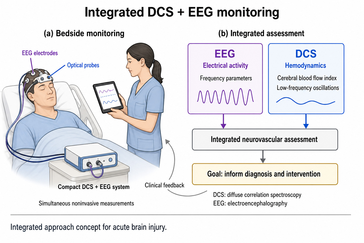 Integrated diffuse correlation spectroscopy and EEG monitoring, in 2 panels. Panel a shows a patient in a hospital bed wearing a cap carrying EEG electrodes and optical probes, cabled to a compact combined system, with a clinician reading traces on a tablet. Panel b shows EEG contributing electrical activity as frequency parameters and diffuse correlation spectroscopy contributing hemodynamics as cerebral blood flow index and low frequency oscillations. Both feed an integrated neurovascular assessment whose stated goal is to inform diagnosis and intervention, with clinical feedback returning to the bedside.
